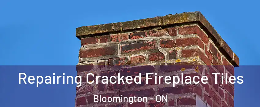  Repairing Cracked Fireplace Tiles Bloomington - ON