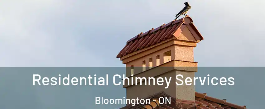  Residential Chimney Services Bloomington - ON