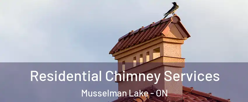  Residential Chimney Services Musselman Lake - ON