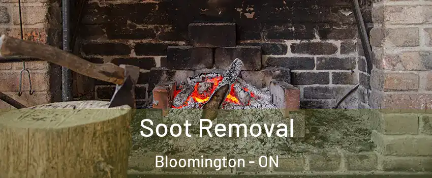  Soot Removal Bloomington - ON