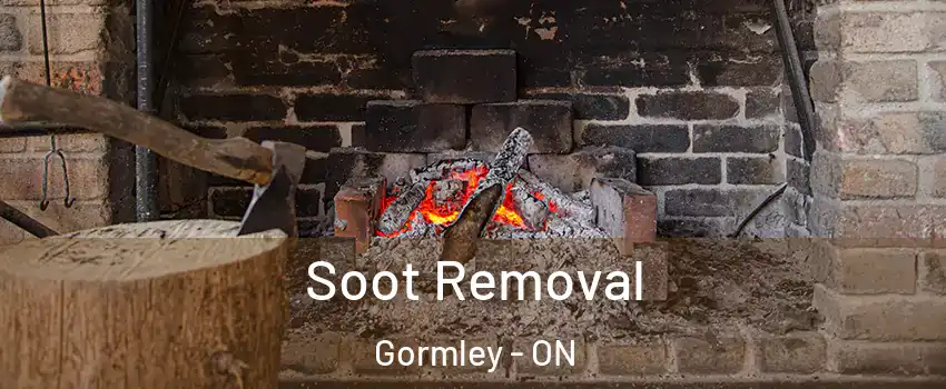  Soot Removal Gormley - ON