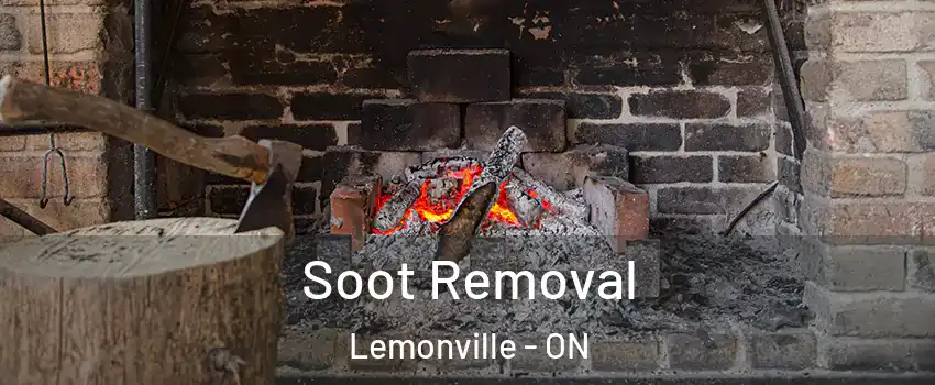  Soot Removal Lemonville - ON