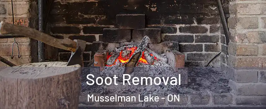  Soot Removal Musselman Lake - ON
