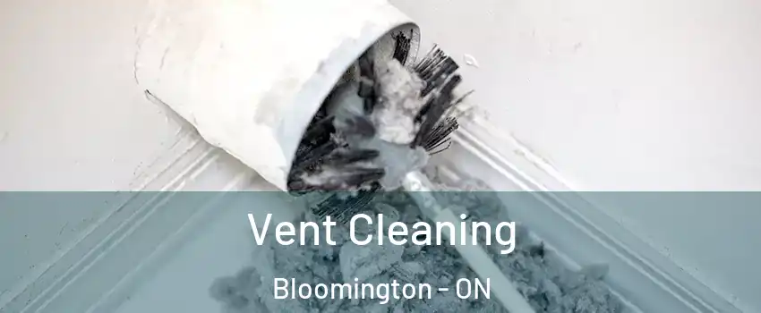  Vent Cleaning Bloomington - ON