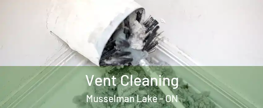  Vent Cleaning Musselman Lake - ON