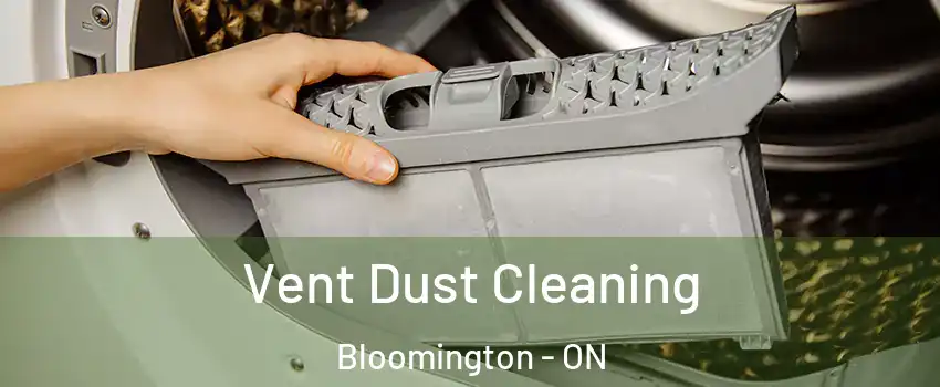 Vent Dust Cleaning Bloomington - ON