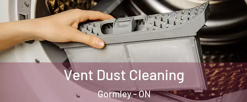  Vent Dust Cleaning Gormley - ON