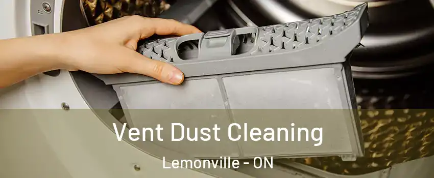  Vent Dust Cleaning Lemonville - ON