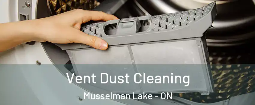  Vent Dust Cleaning Musselman Lake - ON
