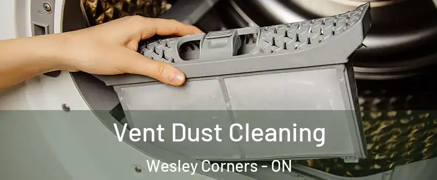  Vent Dust Cleaning Wesley Corners - ON