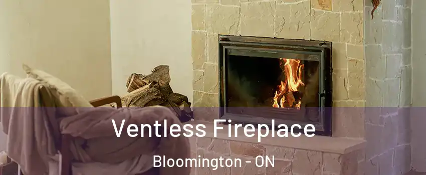  Ventless Fireplace Bloomington - ON