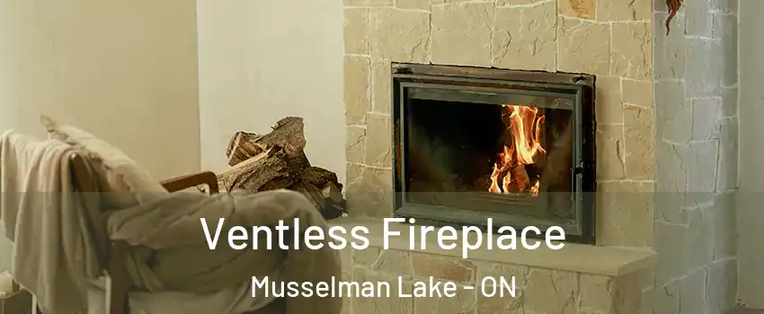  Ventless Fireplace Musselman Lake - ON