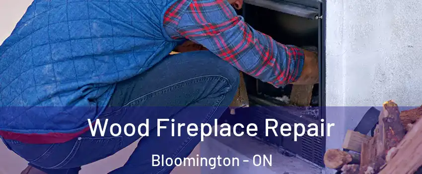  Wood Fireplace Repair Bloomington - ON