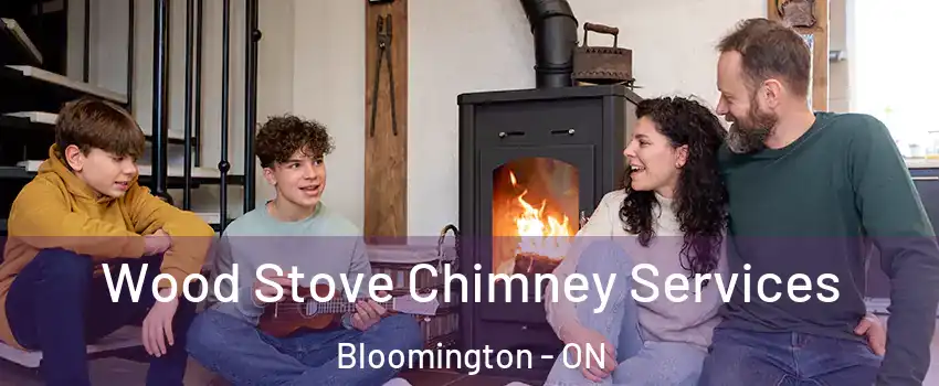  Wood Stove Chimney Services Bloomington - ON