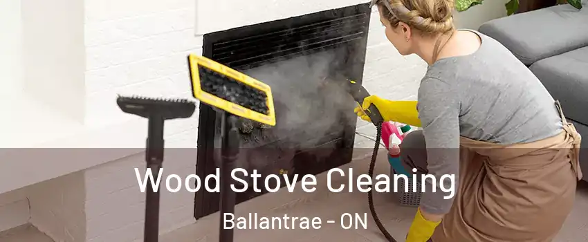  Wood Stove Cleaning Ballantrae - ON