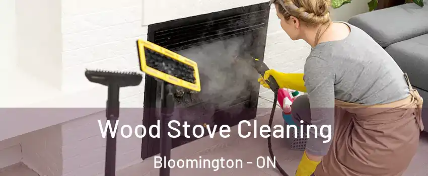 Wood Stove Cleaning Bloomington - ON
