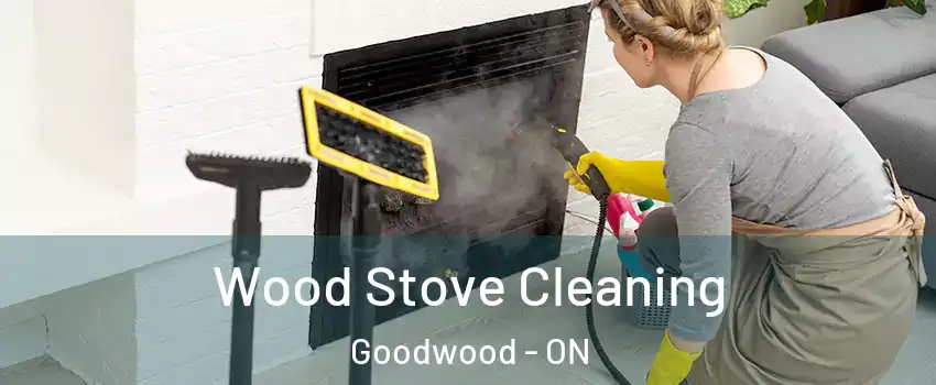  Wood Stove Cleaning Goodwood - ON
