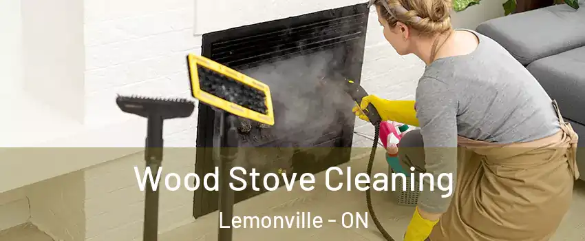  Wood Stove Cleaning Lemonville - ON