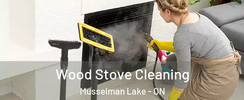  Wood Stove Cleaning Musselman Lake - ON