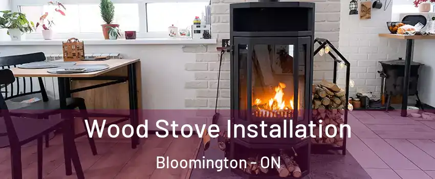  Wood Stove Installation Bloomington - ON
